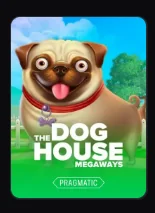 Ruleta en vivo JetTon